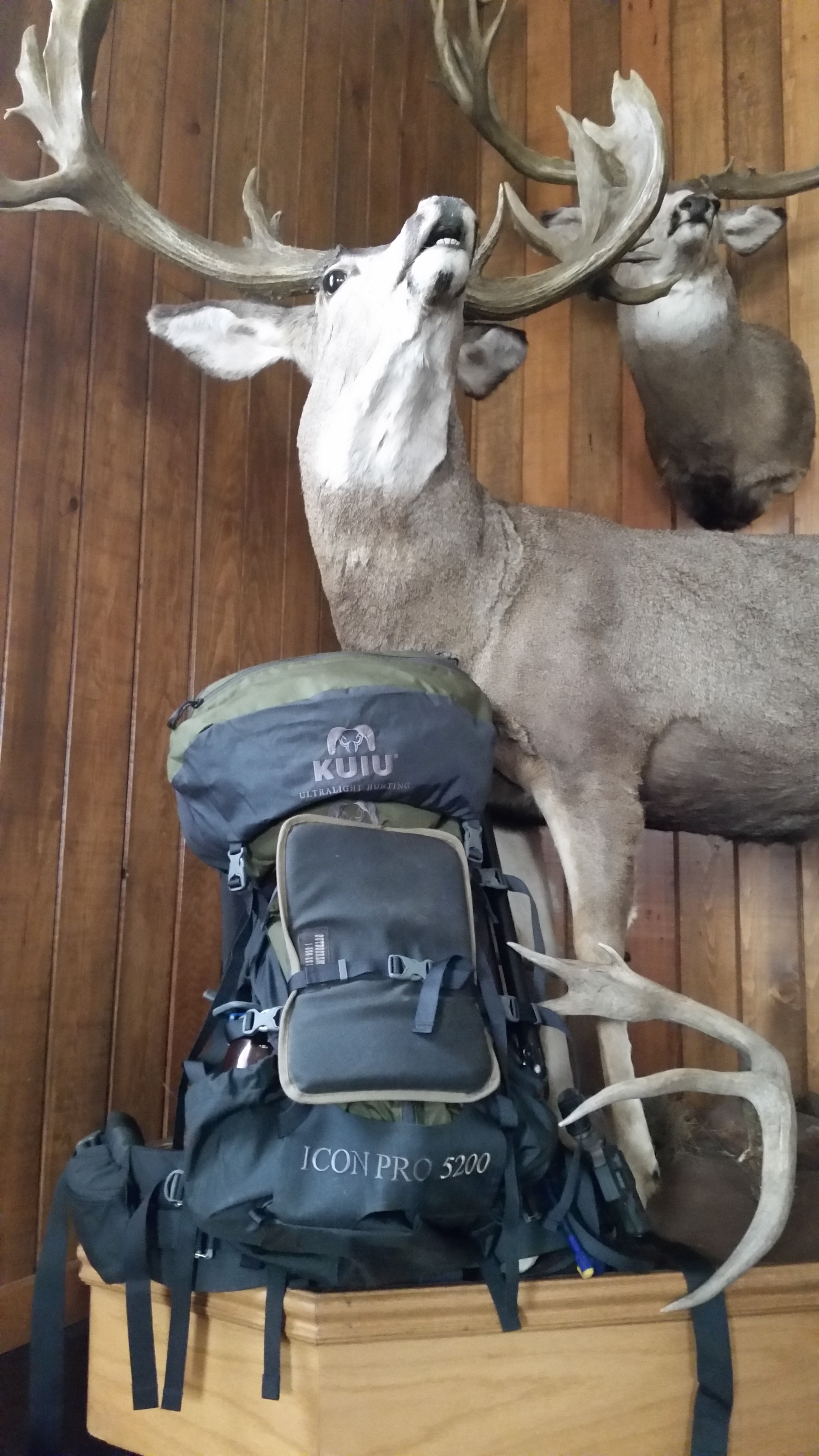 iReviewGear.com